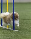20260627-stcgny-0262