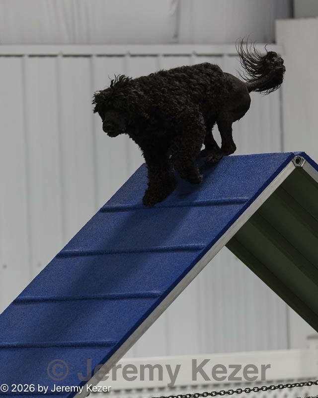 20260627-stcgny-0056.jpg
