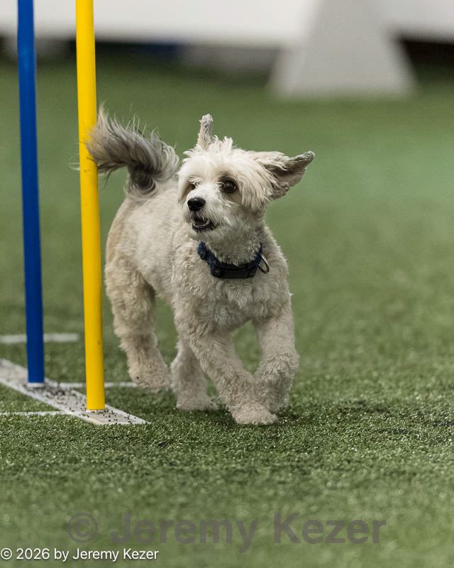 20260627-stcgny-2273.jpg