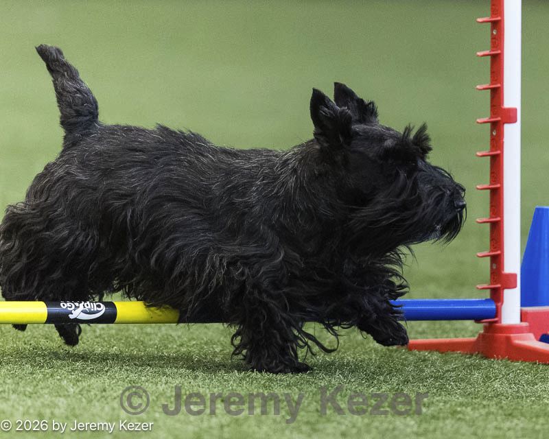 20260628-stcgny-1141.jpg