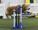 20260628-stcgny-1356