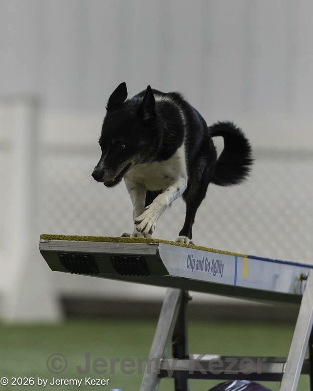 20260628-stcgny-0851.jpg