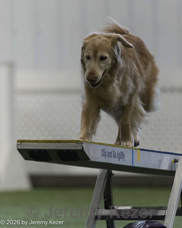 20260628-stcgny-1011.jpg