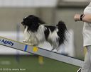 20260628-stcgny-0041