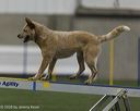 20260628-stcgny-0126