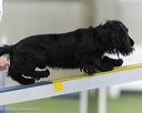 20260628-stcgny-0363