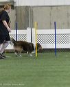 20260628-stcgny-1556
