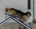 20260628-stcgny-1077