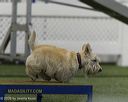 20260628-stcgny-1047