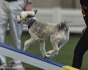 20260628-stcgny-1059