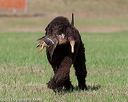 20130415-wcl-0053