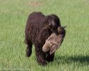 20130415-wcl-0067