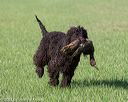 20130415-wcl-0136