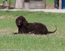 20130415-wcl-0199