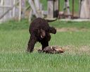 20130415-wcl-0200