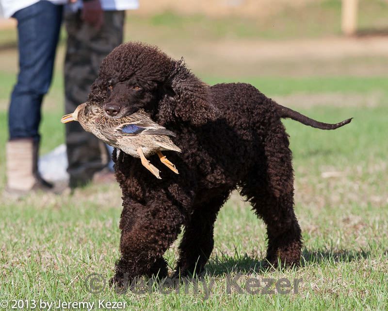 20130415-wcl-0032.jpg