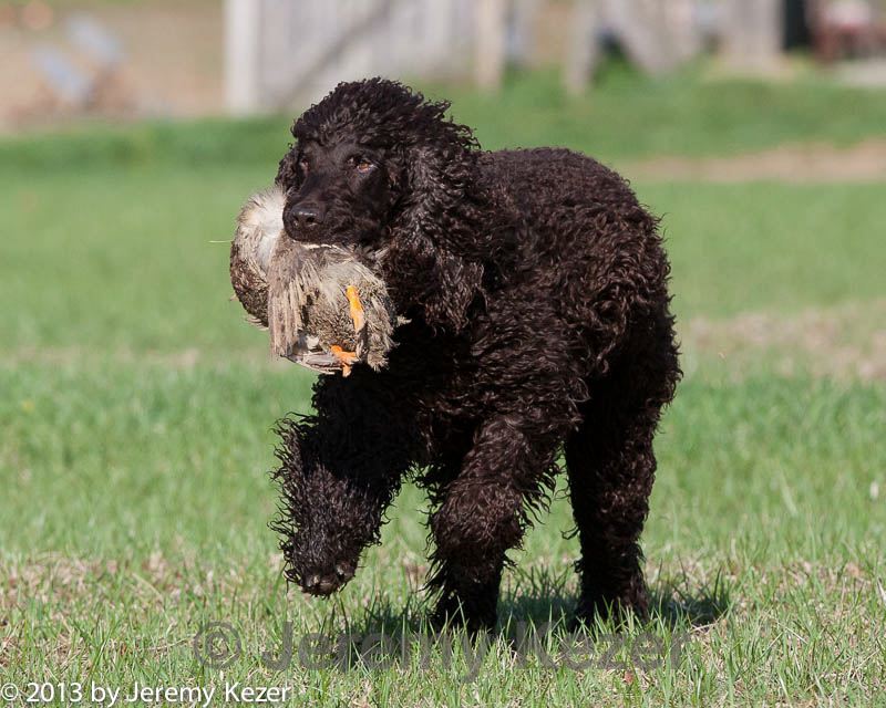 20130415-wcl-0075.jpg