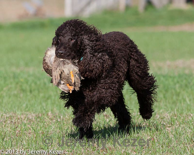 20130415-wcl-0076.jpg