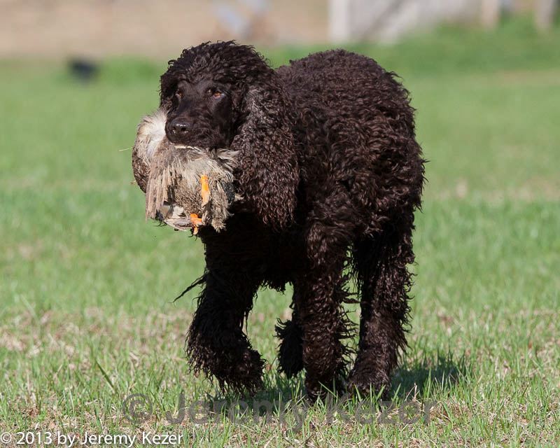 20130415-wcl-0078.jpg