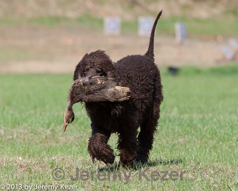 20130415-wcl-0094.jpg