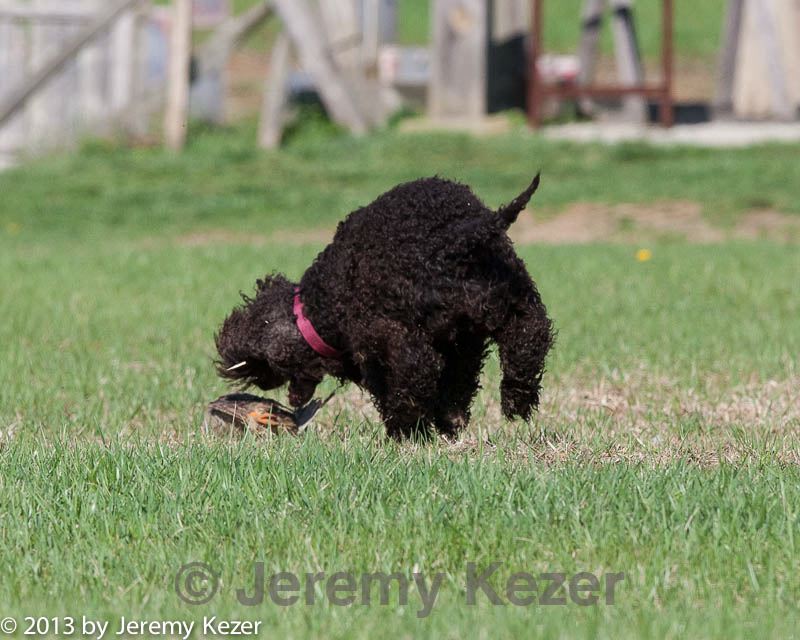 20130415-wcl-0140.jpg