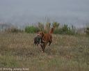 20140426-wcl-0066