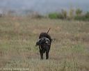 20140426-wcl-0105