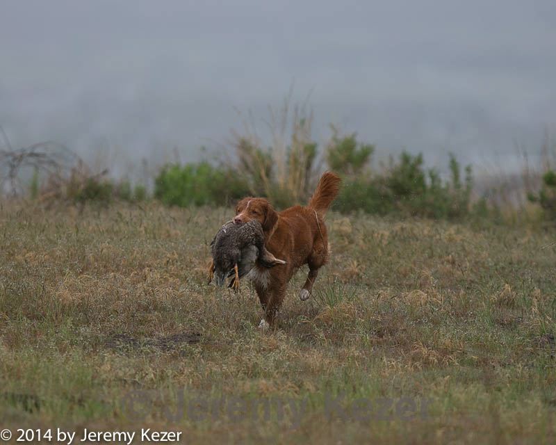 20140426-wcl-0066.jpg