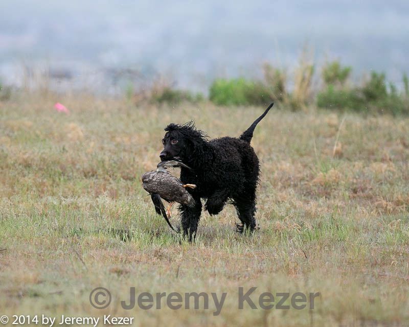 20140426-wcl-0172.jpg