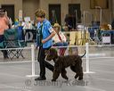 20250513-ob-0084_1