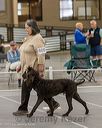20250513-ob-0100_1