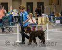 20250513-ob-0084_1.jpg