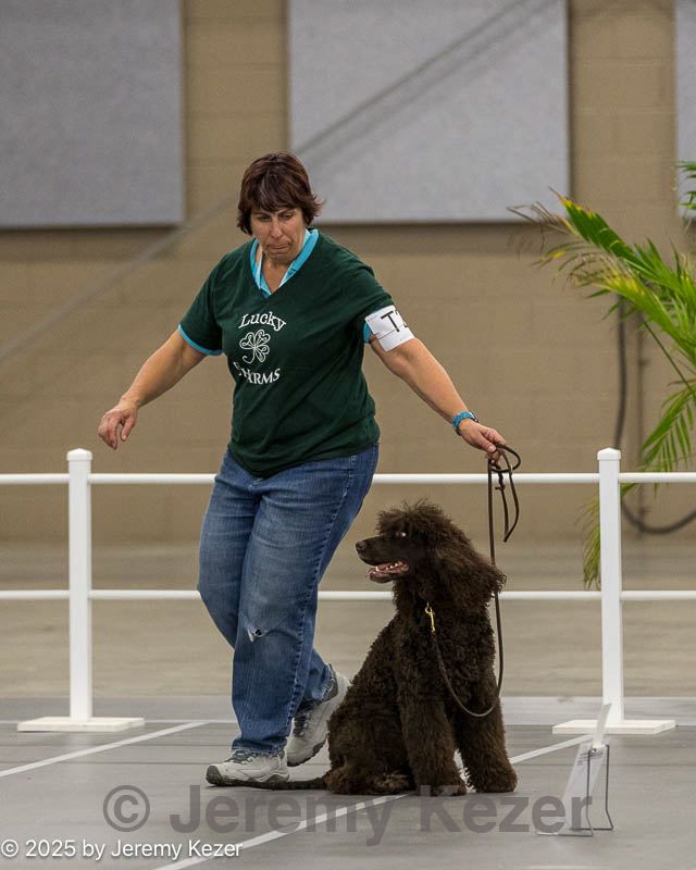 20250513-ra-0240.jpg