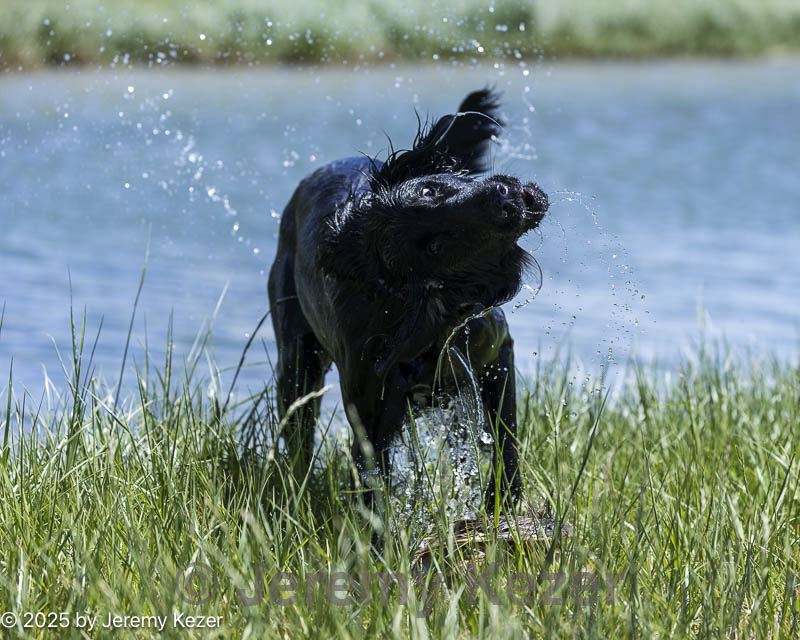 20250515-wcw-0026.jpg