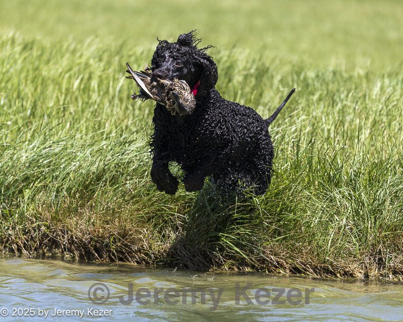 20250515-wcw-0086.jpg