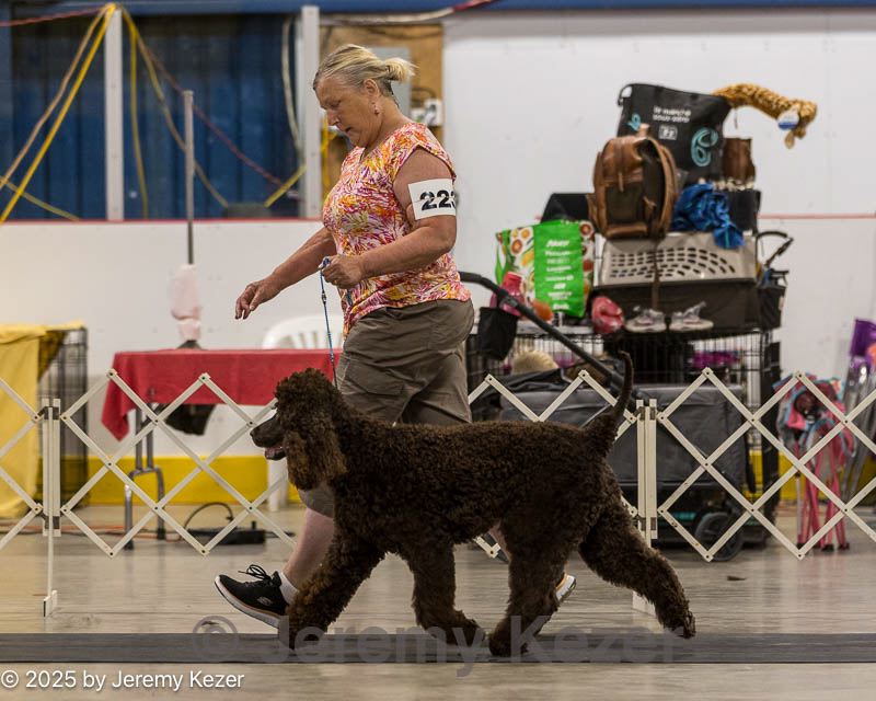 20250802-0126.jpg