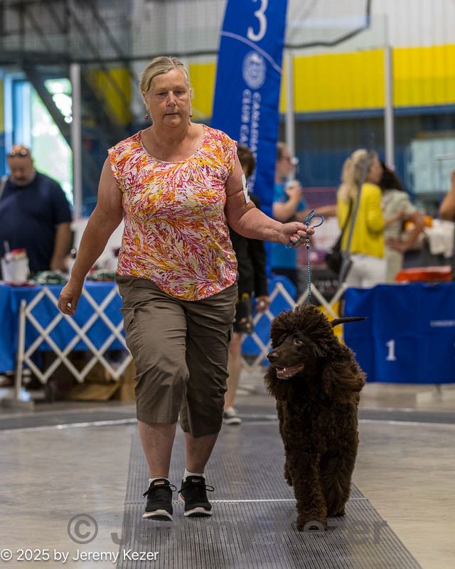 20250802-0128.jpg