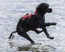 20250816-cwd-0171