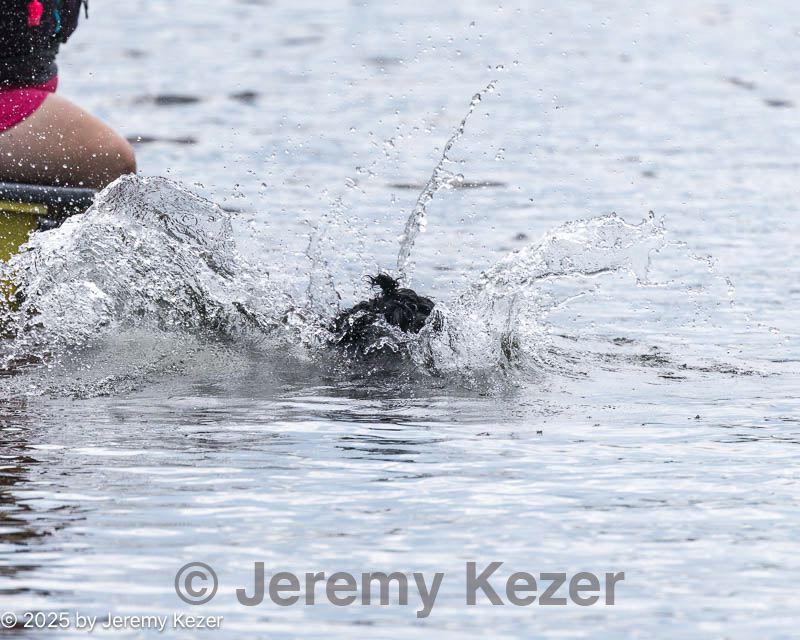 20250816-cwd-0026.jpg