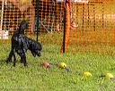 20250816-master-0182