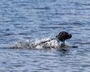 20250816-wwd-0074