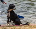 20250816-wwd-0208