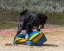 20250816-wwd-0211