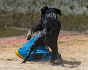 20250816-wwd-0217