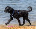 20250817-awd-0032