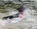 20250817-cwd-0067