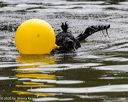 20250817-cwd-0121