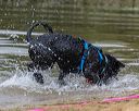 20250817-jwd-0065