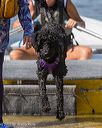 20250817-jwd-0193