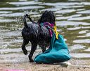 20250817-master-0183